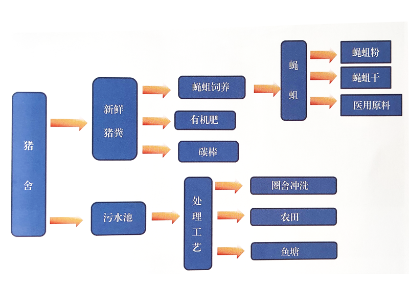 畜禽糞便資源化利用之豬場糞水回用和豬糞養蛆